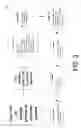 Fig. 04 - Rapid identification of microbial agents