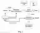 Fig. 08 - Rapid identification of microbial agents