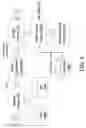 Fig. 09 - Rapid identification of microbial agents