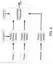 Fig. 10 - Rapid identification of microbial agents