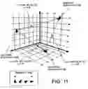 Fig. 12 - Rapid identification of microbial agents