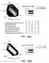 Fig. 19 - Rapid identification of microbial agents