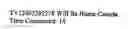 Fig. 23 - Voice recognition system and method