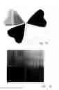 Fig. 09 - Reading device
