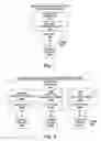 Fig. 02 - Medical information access and processing system