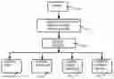 Fig. 01 - Medical records website and related methods
