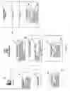 Fig. 06 - Methods for electronic records management