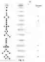 Fig. 08 - Method and/or system for transforming between trees and strings