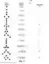 Fig. 09 - Method and/or system for transforming between trees and strings
