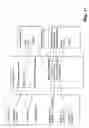 Fig. 12 - Web and lotus notes adapter layers