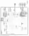 Fig. 20 - Live video icons for signal selection in a videoconferencing system
