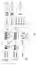 Fig. 33 - Individual XML message processing platform