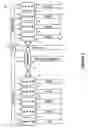 Fig. 02 - Registered dual in-line memory module having an extended register feature set