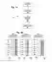 Fig. 03 - Method and system for disk stippling
