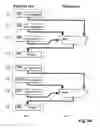 Fig. 65 - Method for information processing