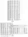Fig. 07 - Long instruction word processing with instruction extensions