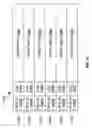 Fig. 11 - Long instruction word processing with instruction extensions