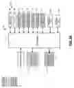 Fig. 04 - Adaptive storage system