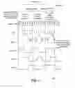 Fig. 04 - Programmable phase generator for cross-clock communication where the clock frequency ratio is a rational number