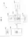 Fig. 02 - System and method for organizing multiple images using templates