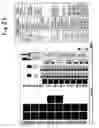 Fig. 26 - Method and apparatus for extending processing time in one pipeline stage