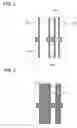 Fig. 04 - Photomask, photomask set, photomask design method, and photomask set design method