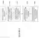 Fig. 06 - Method for creating unique identification for copies of executable code and management thereof