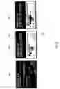 Fig. 08 - Interactive multimedia interface display