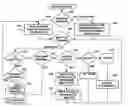 Fig. 01 - Interactive entertainment and information system using television set-top box