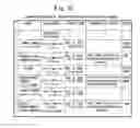 Fig. 29 - Information server apparatus, client terminal apparatus, sub-client apparatus, information processing method and storage medium having stored program therefor