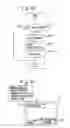 Fig. 34 - Information server apparatus, client terminal apparatus, sub-client apparatus, information processing method and storage medium having stored program therefor
