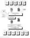 Fig. 01 - System and method for dynamic data redaction
