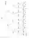 Fig. 05 - Method, storage medium, and apparatus to prevent use or distribution of unauthorized copies of storage medium contents