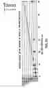 Fig. 03 - Variants of antithrombin III