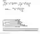 Fig. 06 - Amidases, nucleic acids encoding them and methods for making and using them