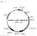 Fig. 03 - Method of constructing transgenic bird using lentivirus vector and transgenic bird obtained thereby