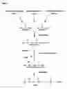 Fig. 03 - Transgenic plants used as a bioreactor system
