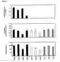Fig. 06 - Transgenic plants used as a bioreactor system