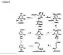 Fig. 10 - Transgenic plants used as a bioreactor system