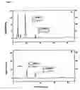 Fig. 14 - Transgenic plants used as a bioreactor system
