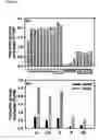 Fig. 16 - Transgenic plants used as a bioreactor system