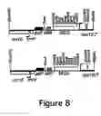 Fig. 09 - Removal of plastid sequences by transiently expressed site-specific recombinases