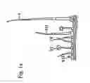 Fig. 02 - Nucleotide sequences for regulating gene expression in plant trichomes and constructs and methods utilizing same