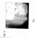 Fig. 03 - Nucleotide sequences for regulating gene expression in plant trichomes and constructs and methods utilizing same