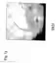 Fig. 08 - Nucleotide sequences for regulating gene expression in plant trichomes and constructs and methods utilizing same