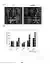 Fig. 07 - Isolated nucleic acid molecule encoding the modified phytochrome A