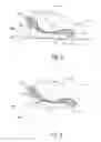Fig. 06 - Anti-snoring pillow