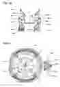 Fig. 09 - Rotary electric shaver