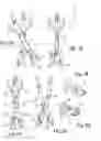 Fig. 02 - Hinged fork apparatus and method