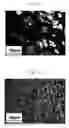 Fig. 07 - Method of working metal, metal body obtained by the method and metal-containing ceramic body obtained by the method